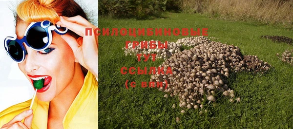 не бодяженный Алексин