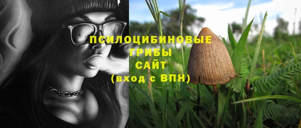 PSILOCYBIN Абинск