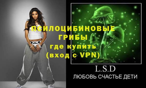 прущий лед Абаза