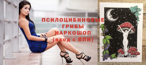 гашик Алзамай