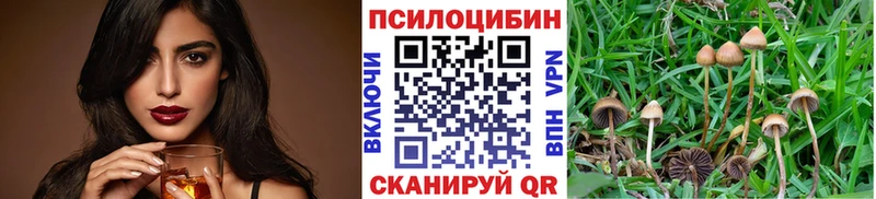 Галлюциногенные грибы мицелий  Павловский Посад 